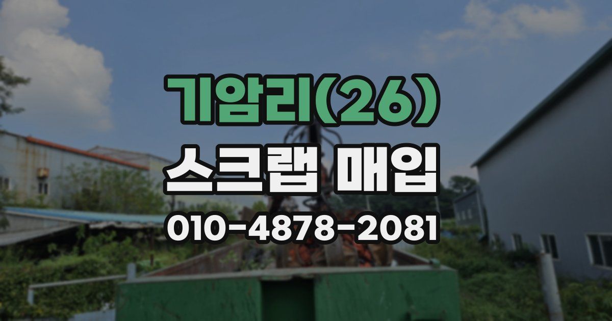 기암리(26) 스크랩 매입