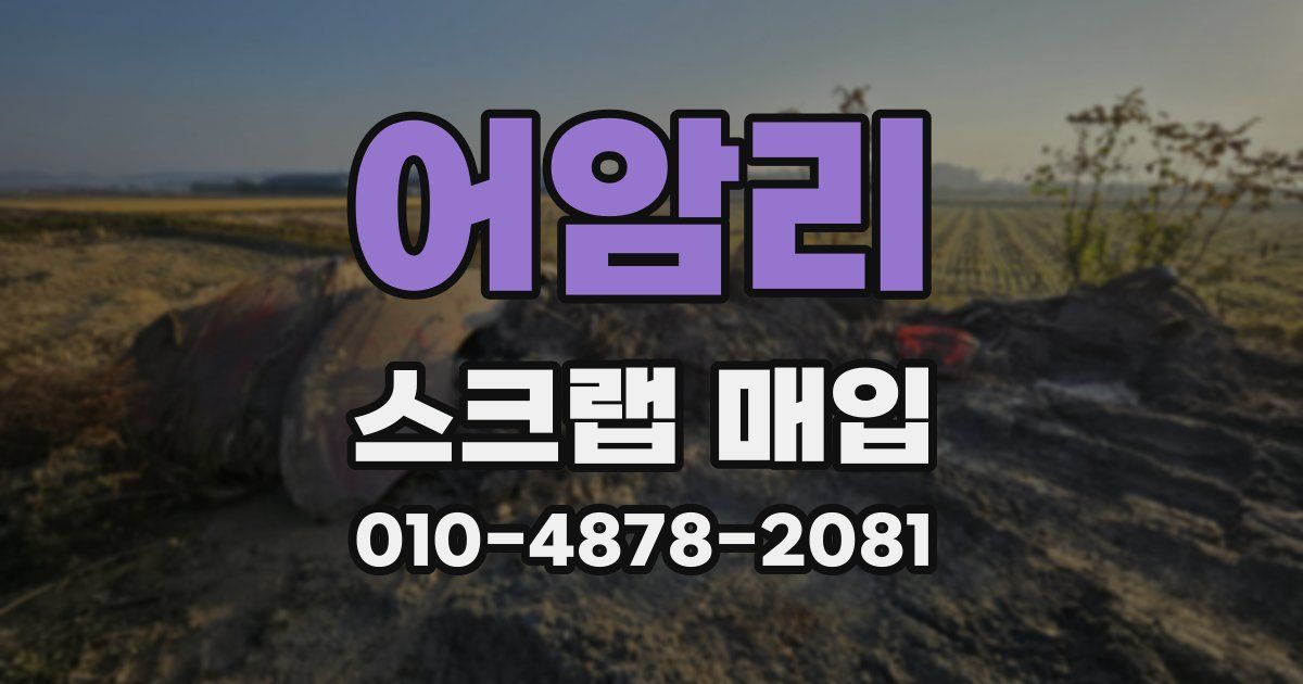 어암리 스크랩 매입