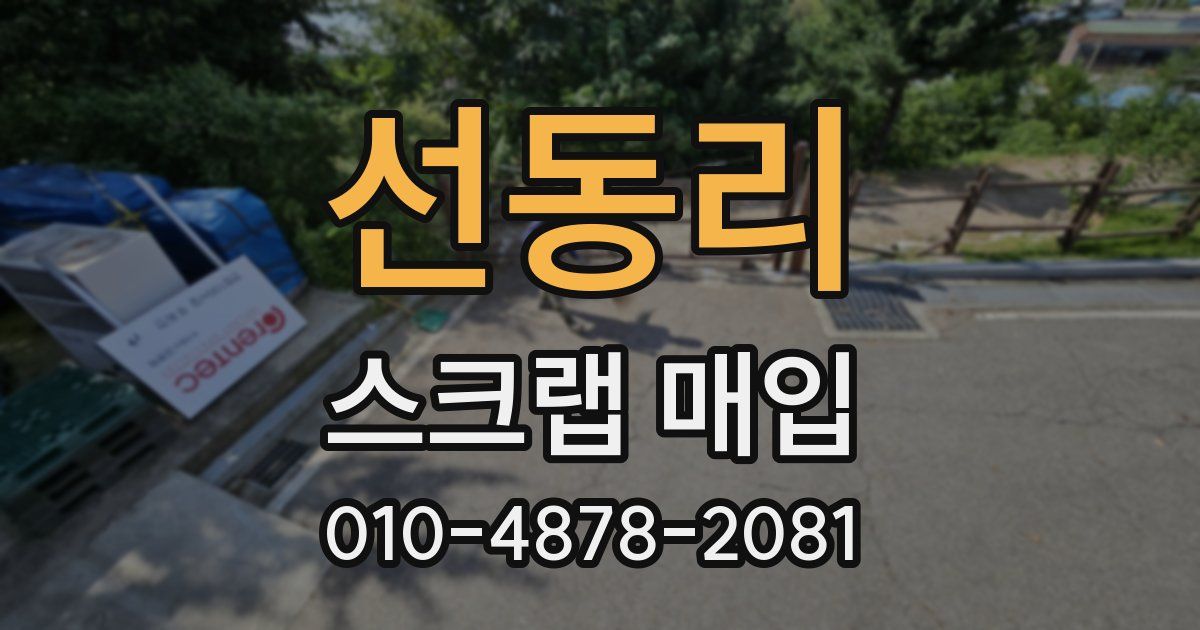 선동리 스크랩 매입