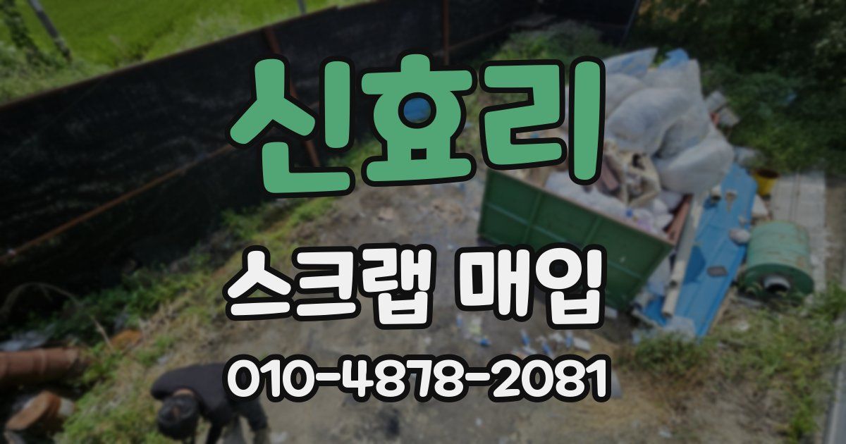 신효리 스크랩 매입