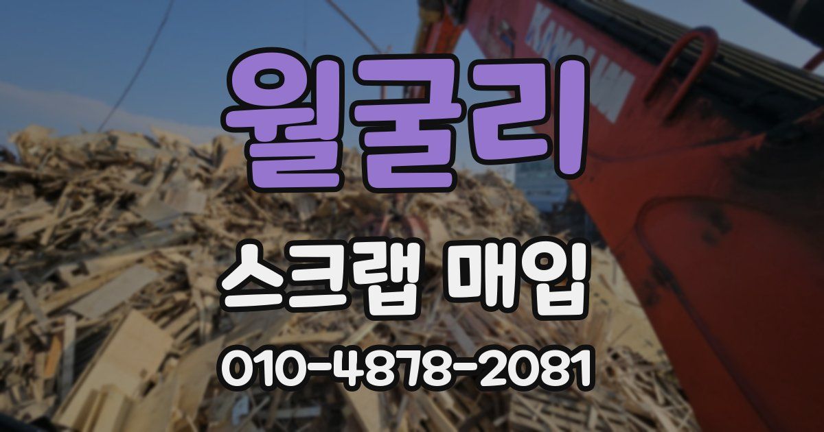 월굴리 스크랩 매입