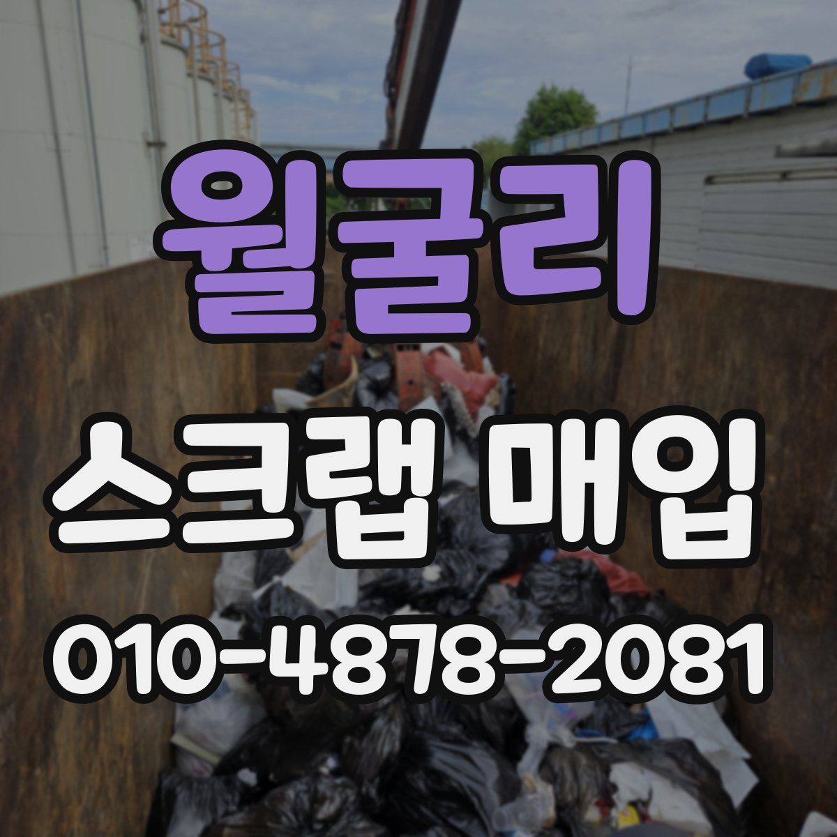 월굴리 스크랩 매입