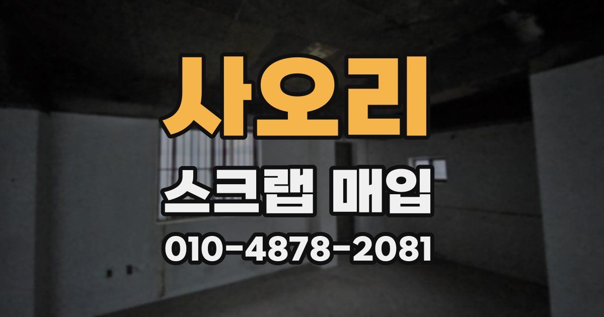 사오리 스크랩 매입