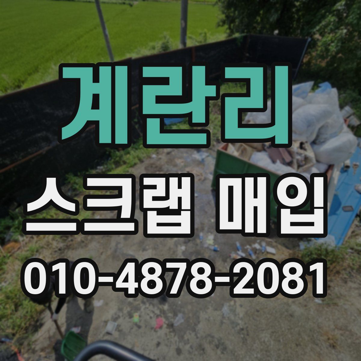 계란리 스크랩 매입