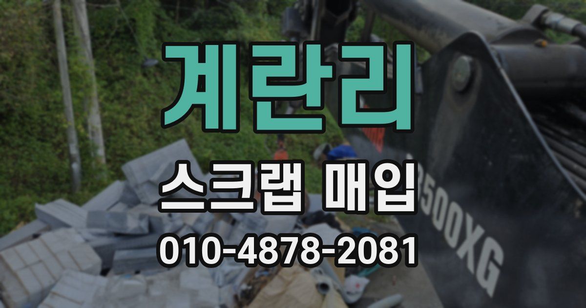 계란리 스크랩 매입