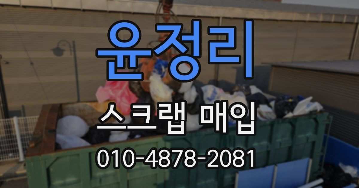 윤정리 스크랩 매입