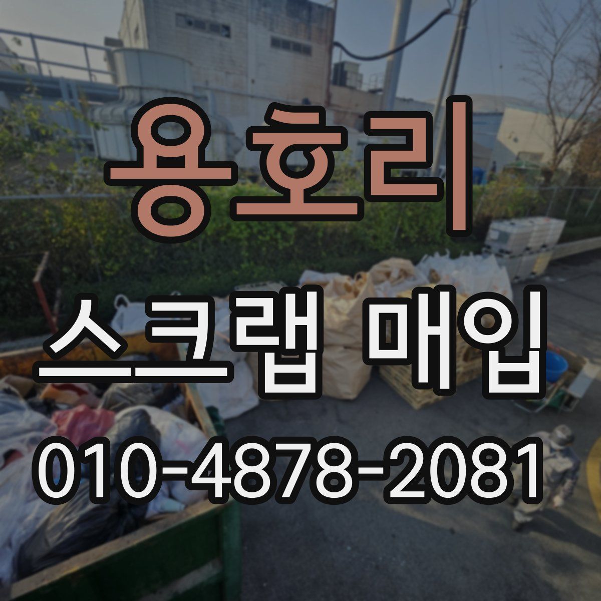 용호리 스크랩 매입