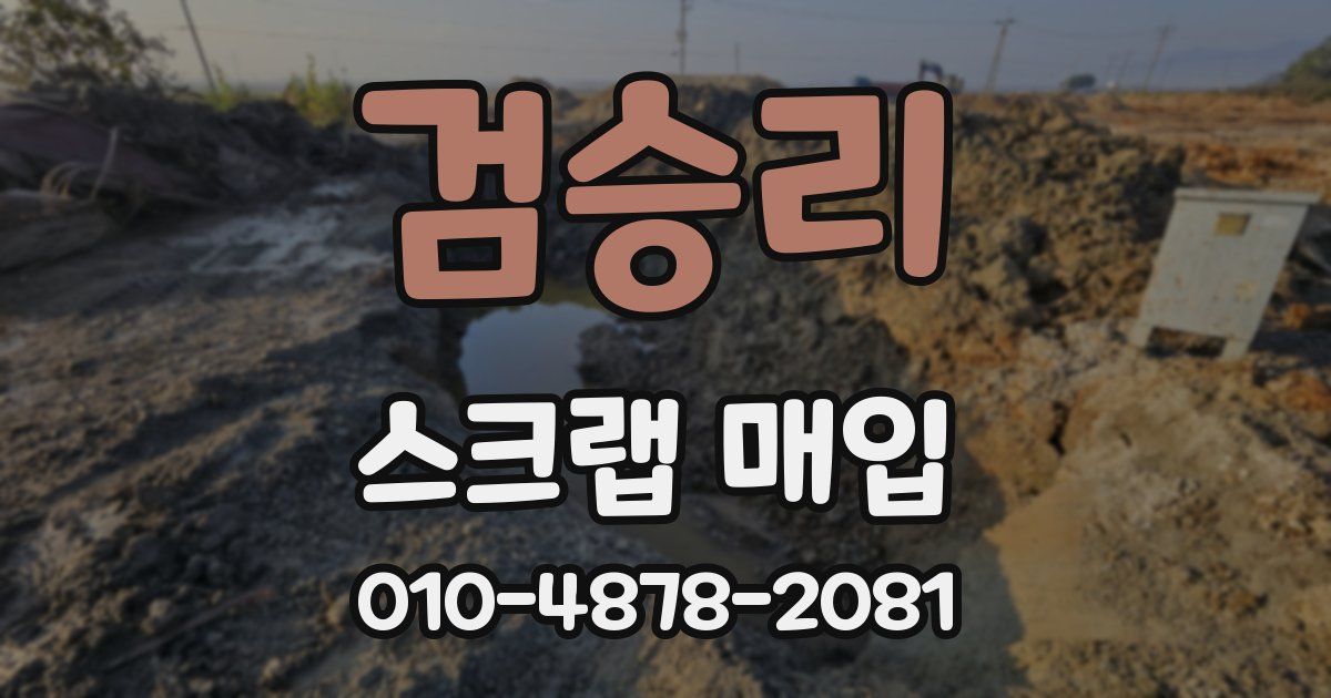 검승리 스크랩 매입