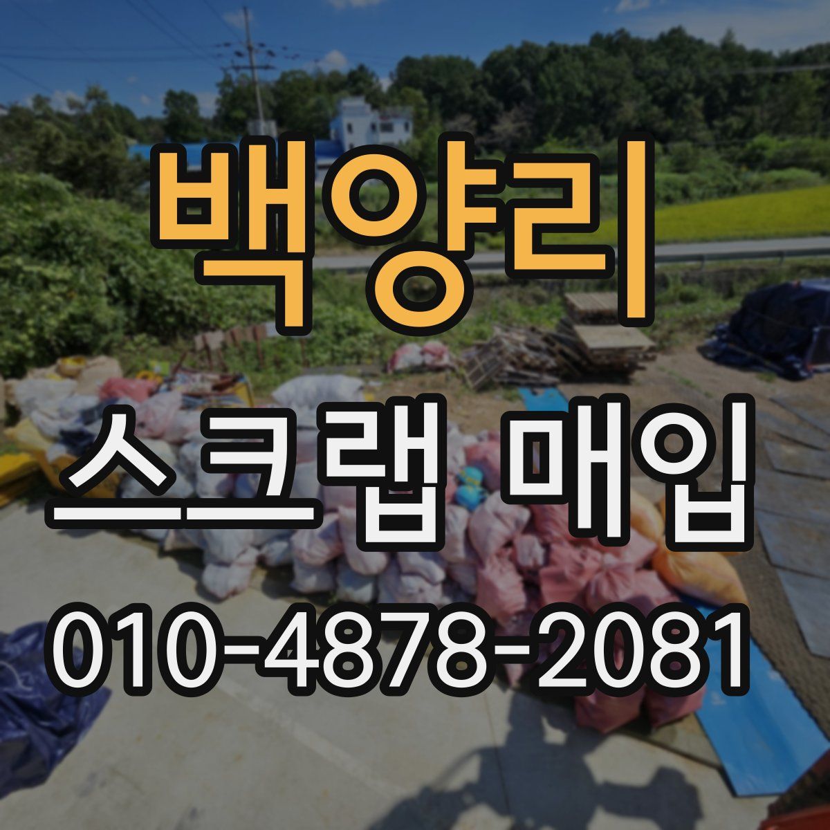 백양리 스크랩 매입
