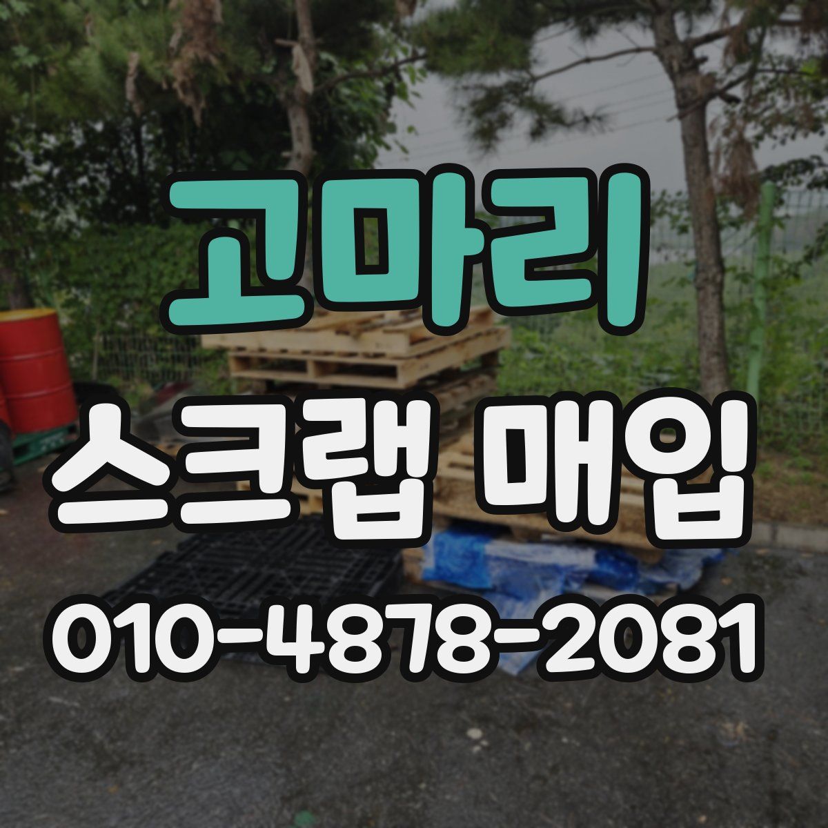 고마리 스크랩 매입