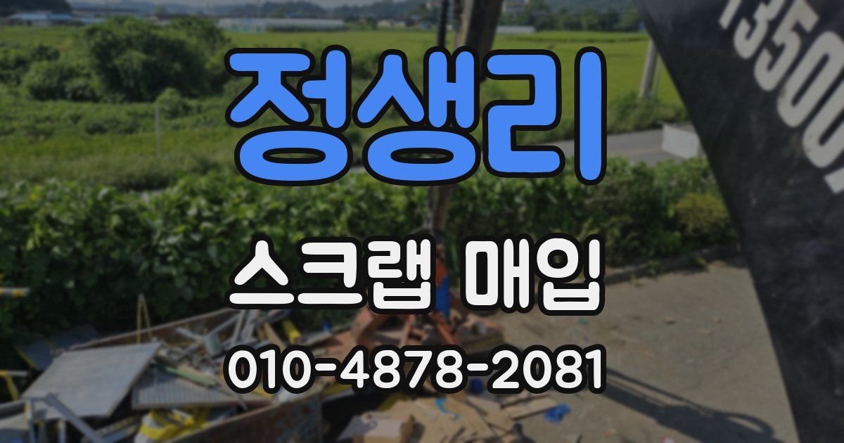 정생리 스크랩 매입