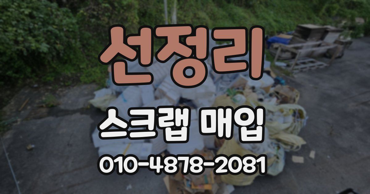 선정리 스크랩 매입