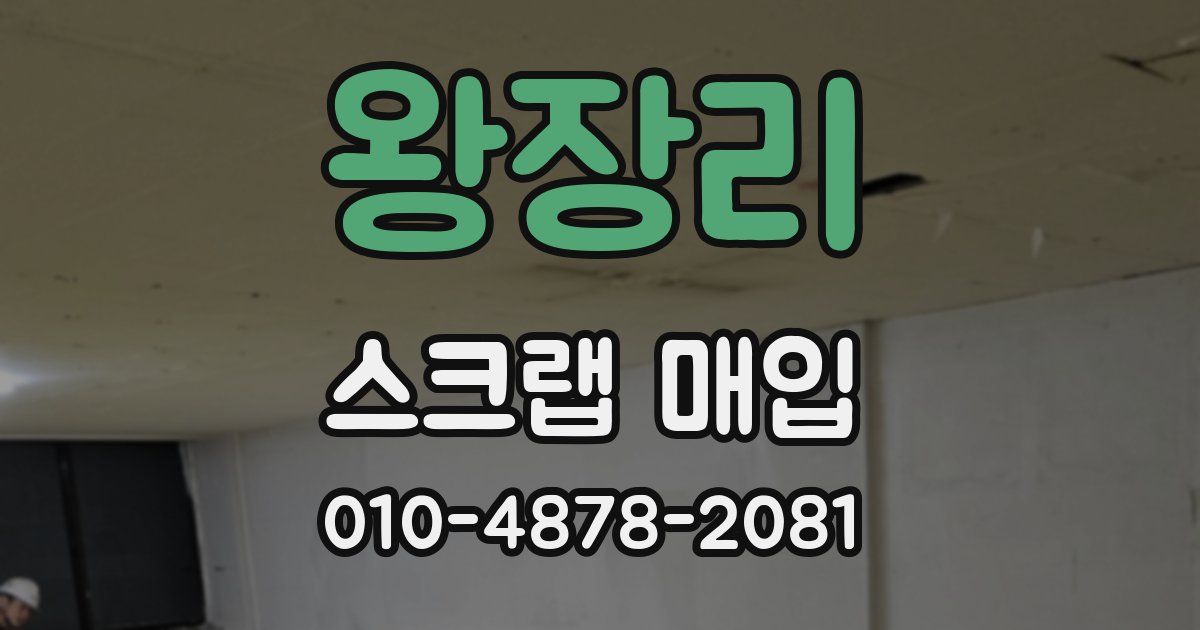 왕장리 스크랩 매입