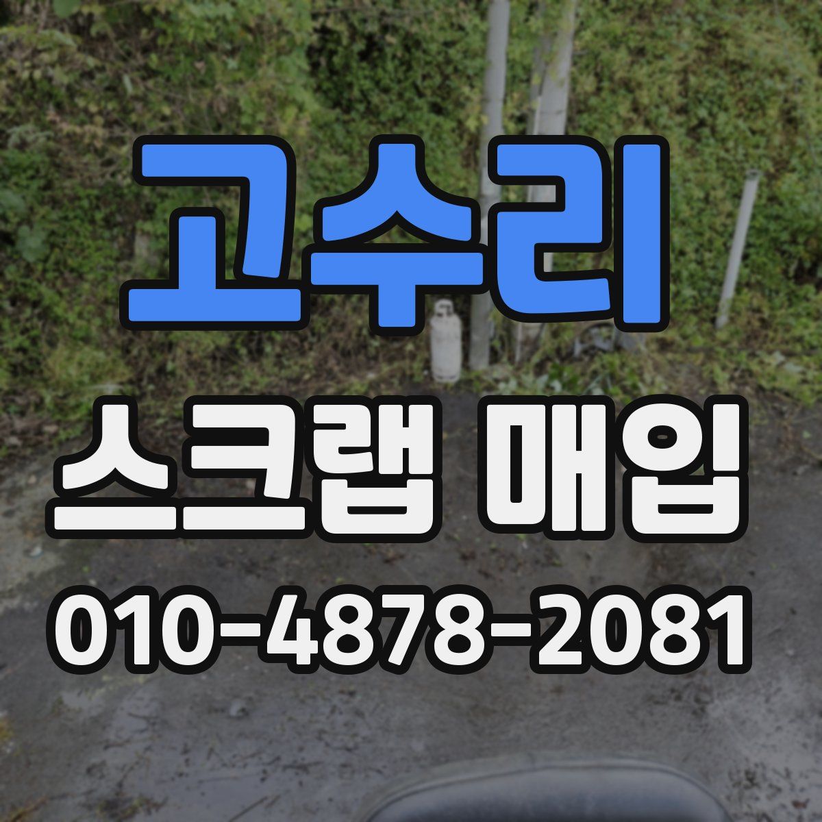 고수리 스크랩 매입