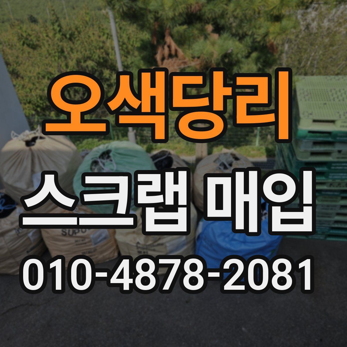 오색당리 스크랩 매입