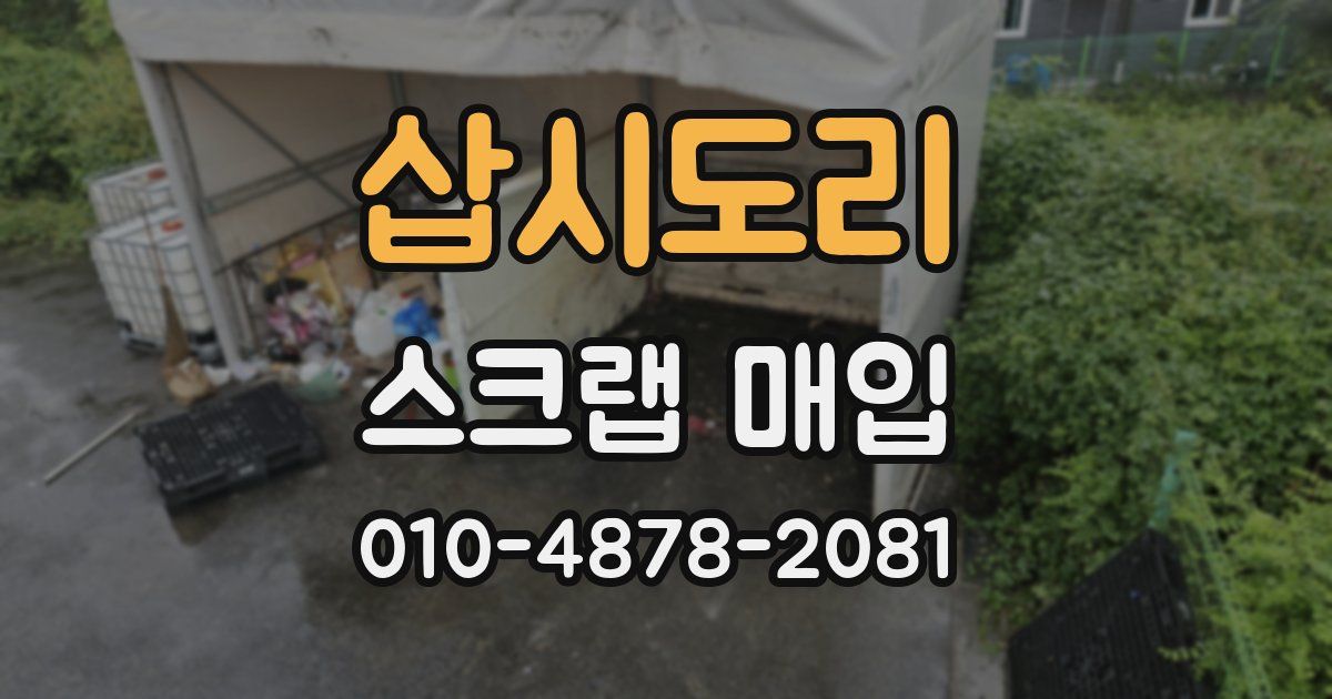 삽시도리 스크랩 매입