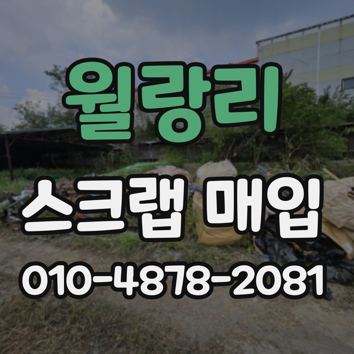 월랑리 스크랩 매입