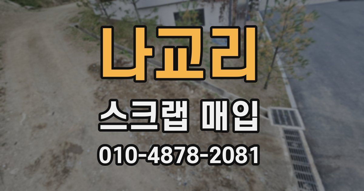 나교리 스크랩 매입