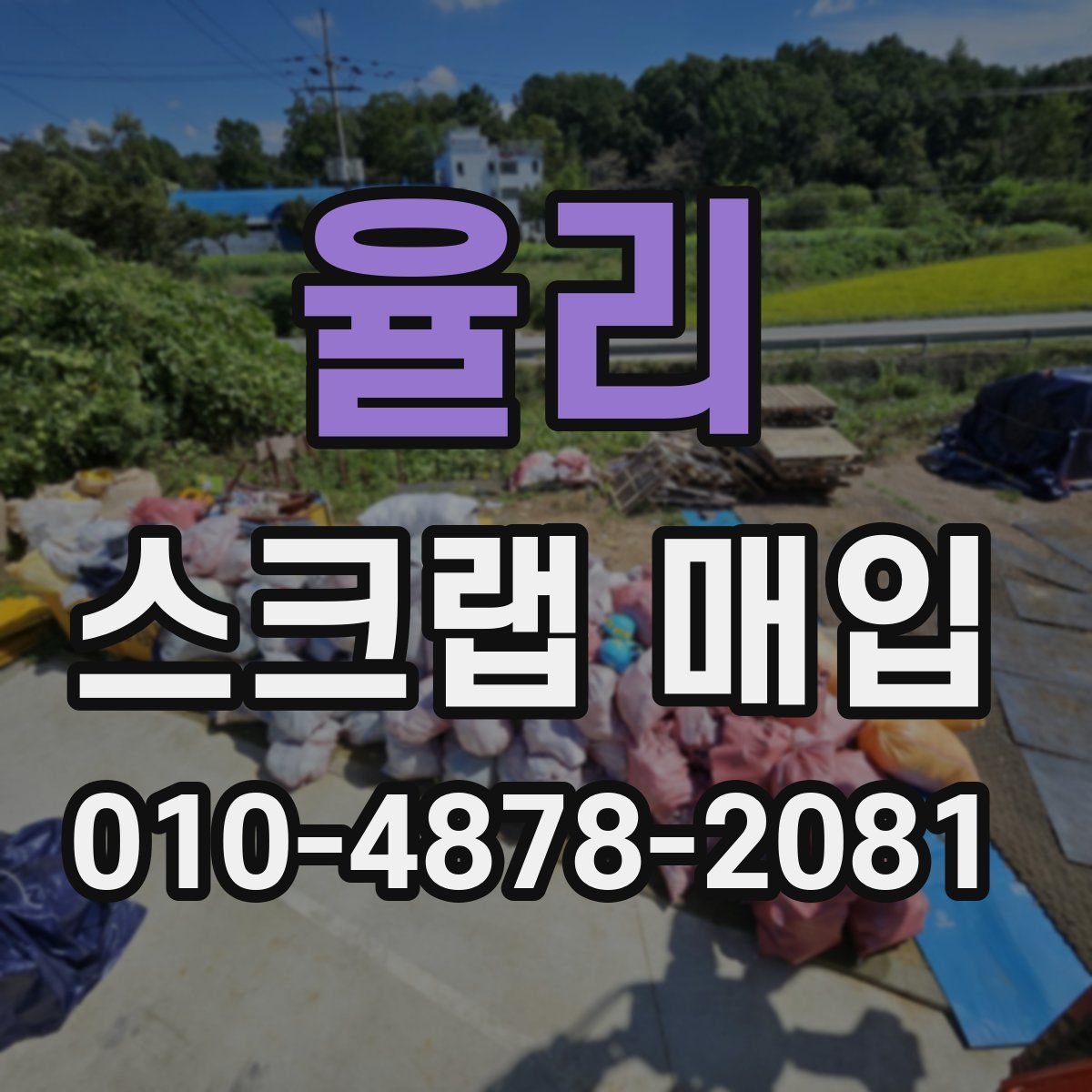 율리 스크랩 매입