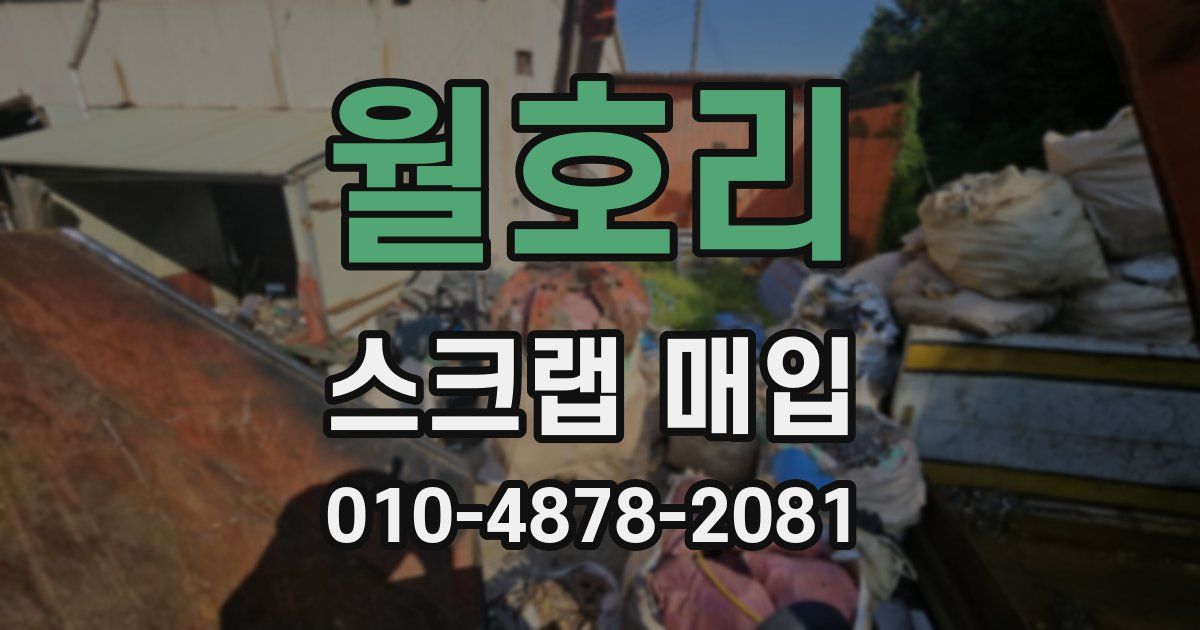 월호리 스크랩 매입