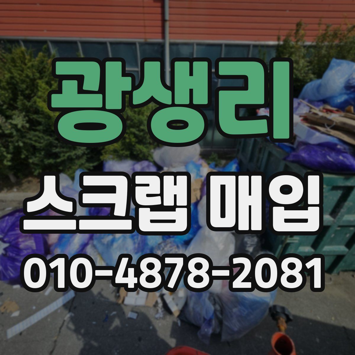광생리 스크랩 매입