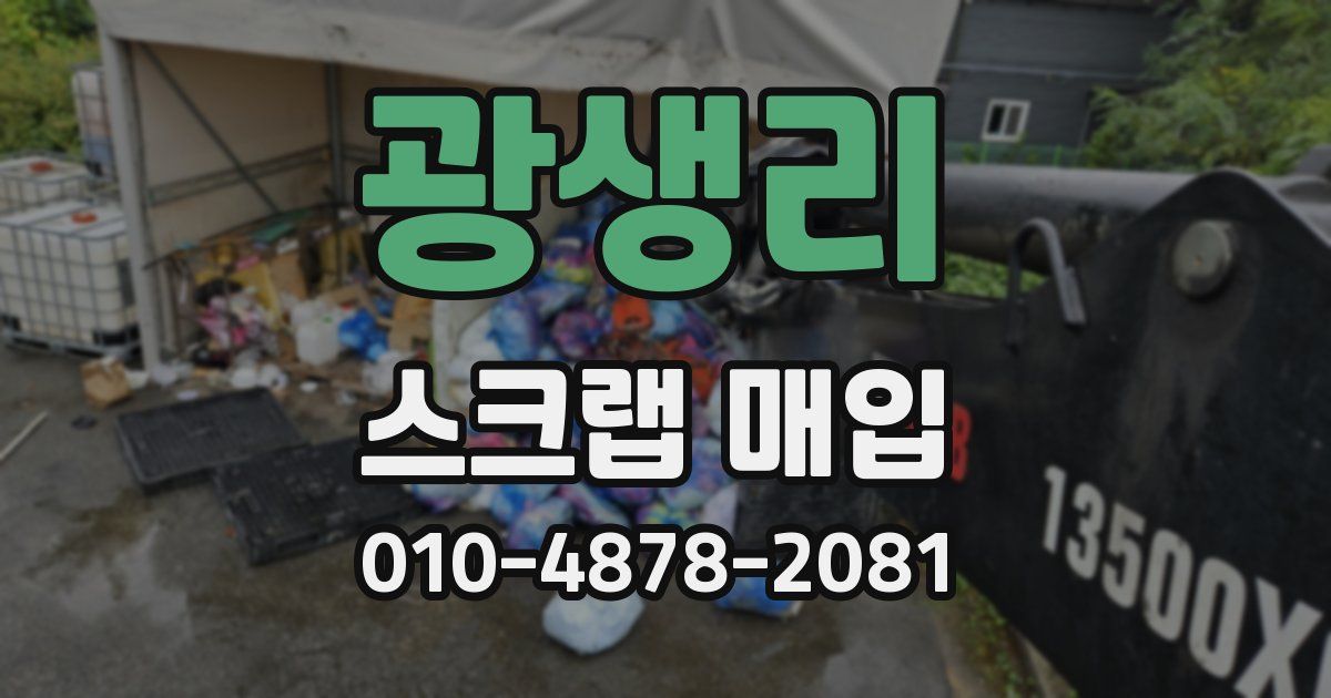 광생리 스크랩 매입