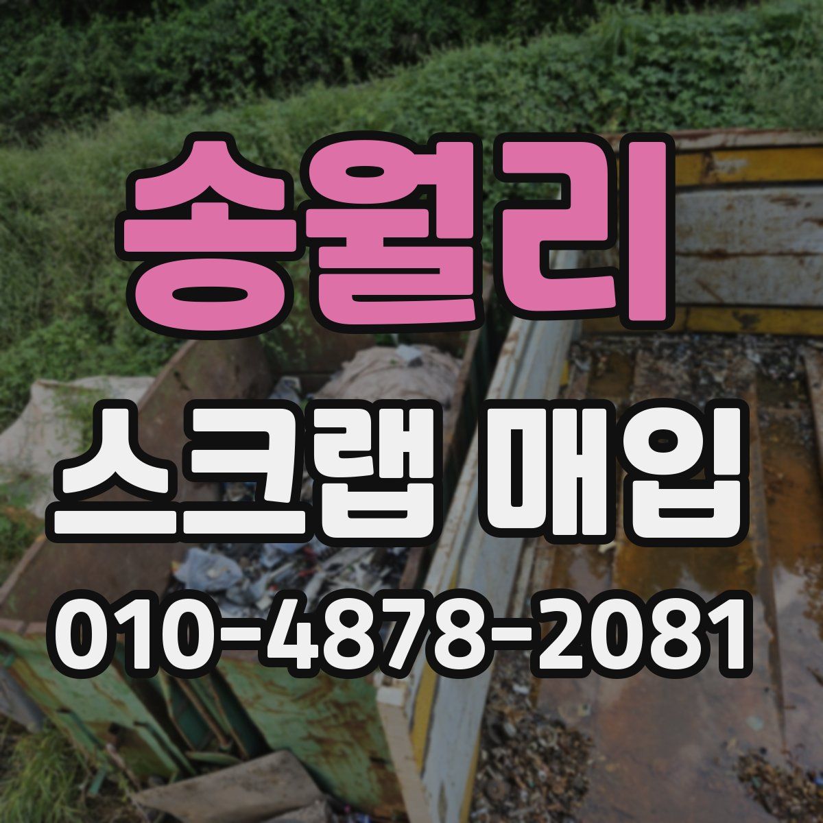 송월리 스크랩 매입