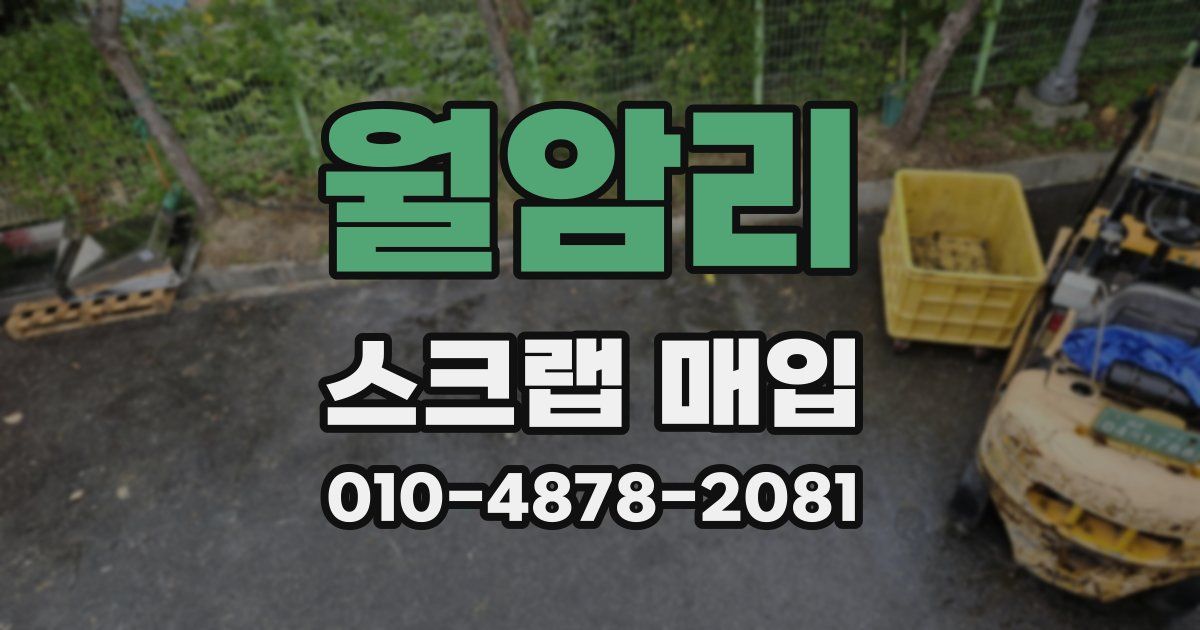 월암리 스크랩 매입