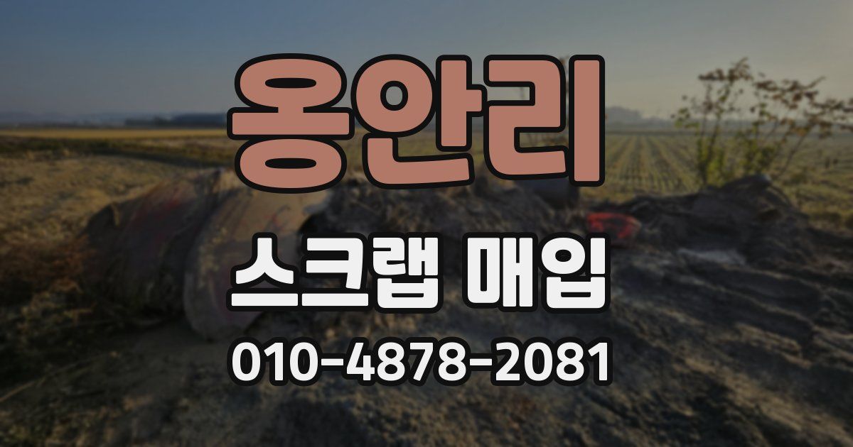 옹안리 스크랩 매입