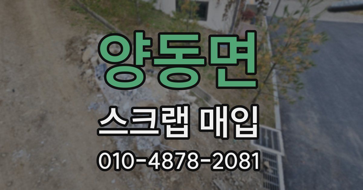양동면 스크랩 매입