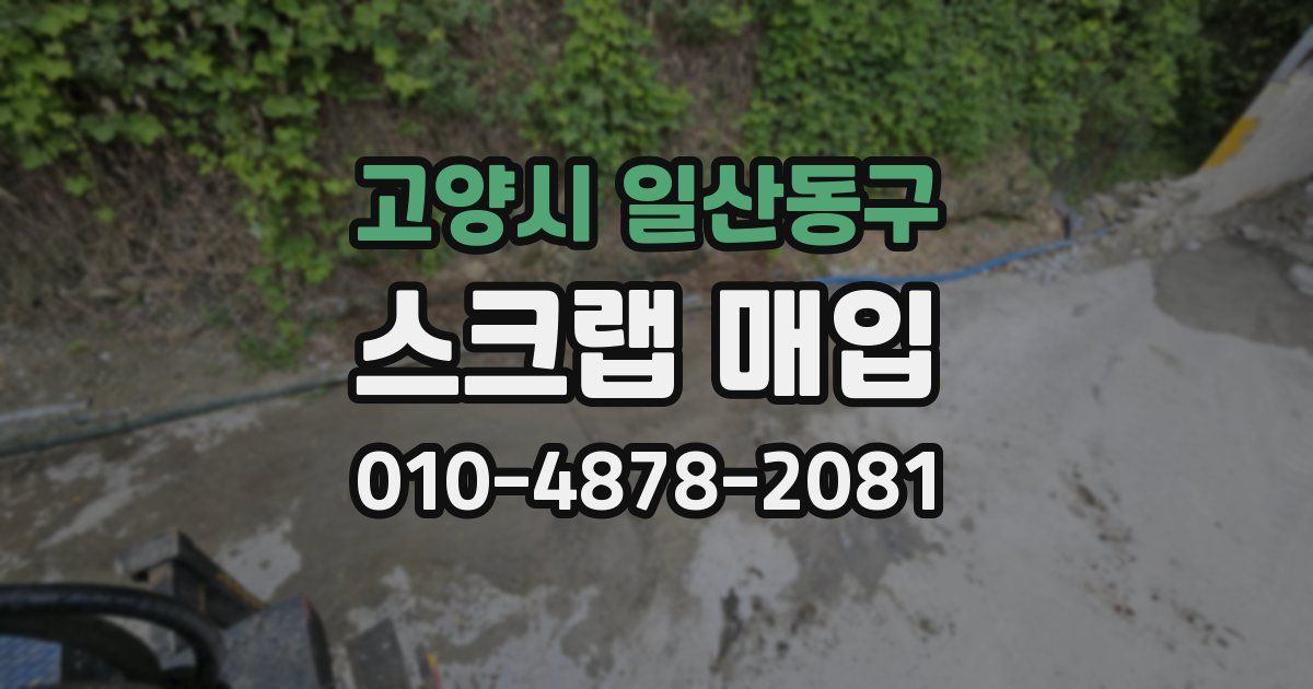 고양시 일산동구 스크랩 매입
