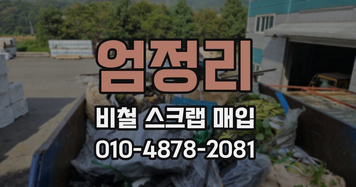 엄정리 비철 스크랩 매입