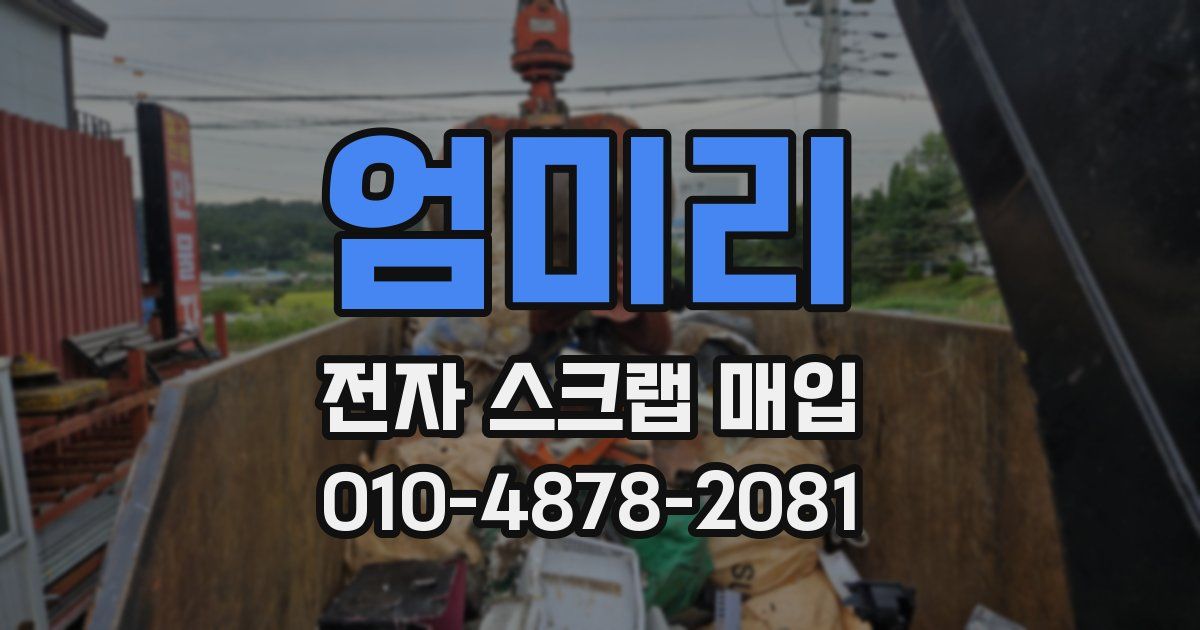 엄미리 전자 스크랩 매입