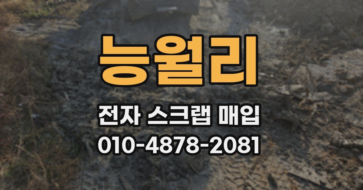 능월리 전자 스크랩 매입