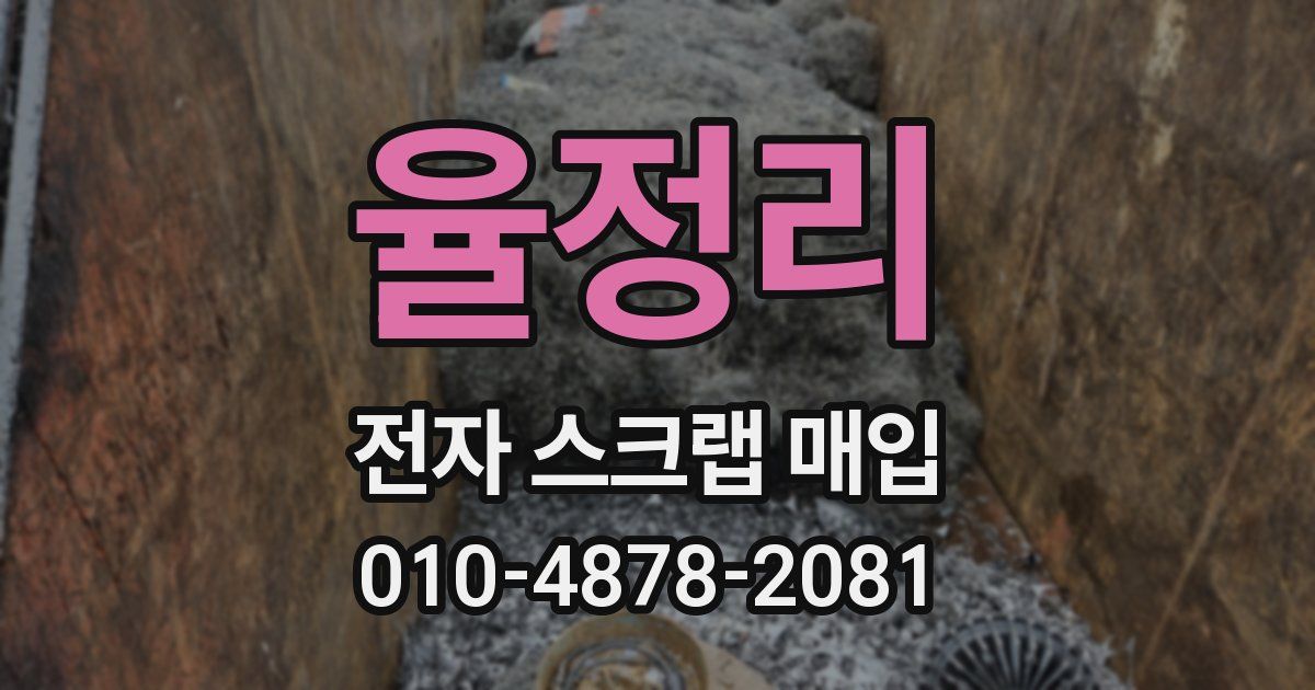 율정리 전자 스크랩 매입