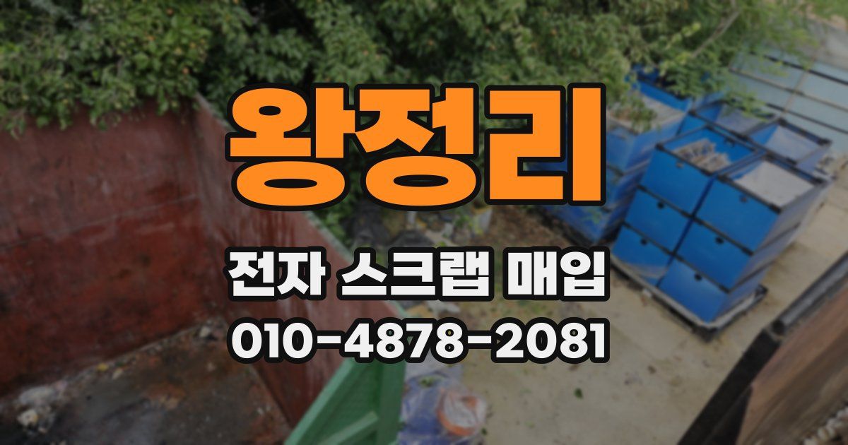 왕정리 전자 스크랩 매입
