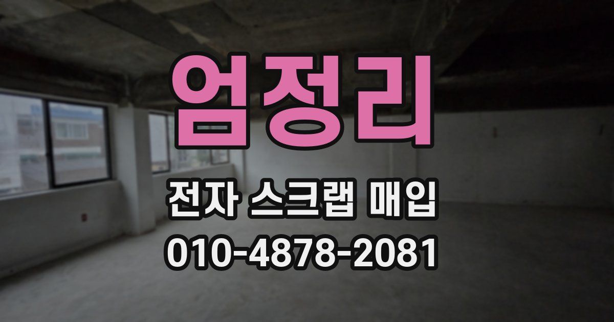 엄정리 전자 스크랩 매입