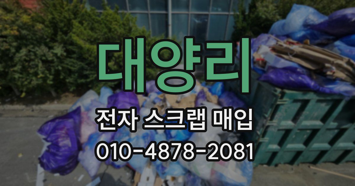 대양리 전자 스크랩 매입
