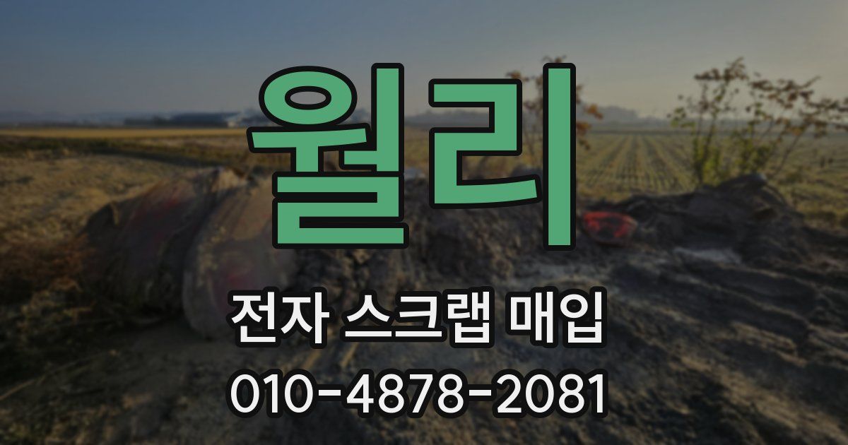월리 전자 스크랩 매입