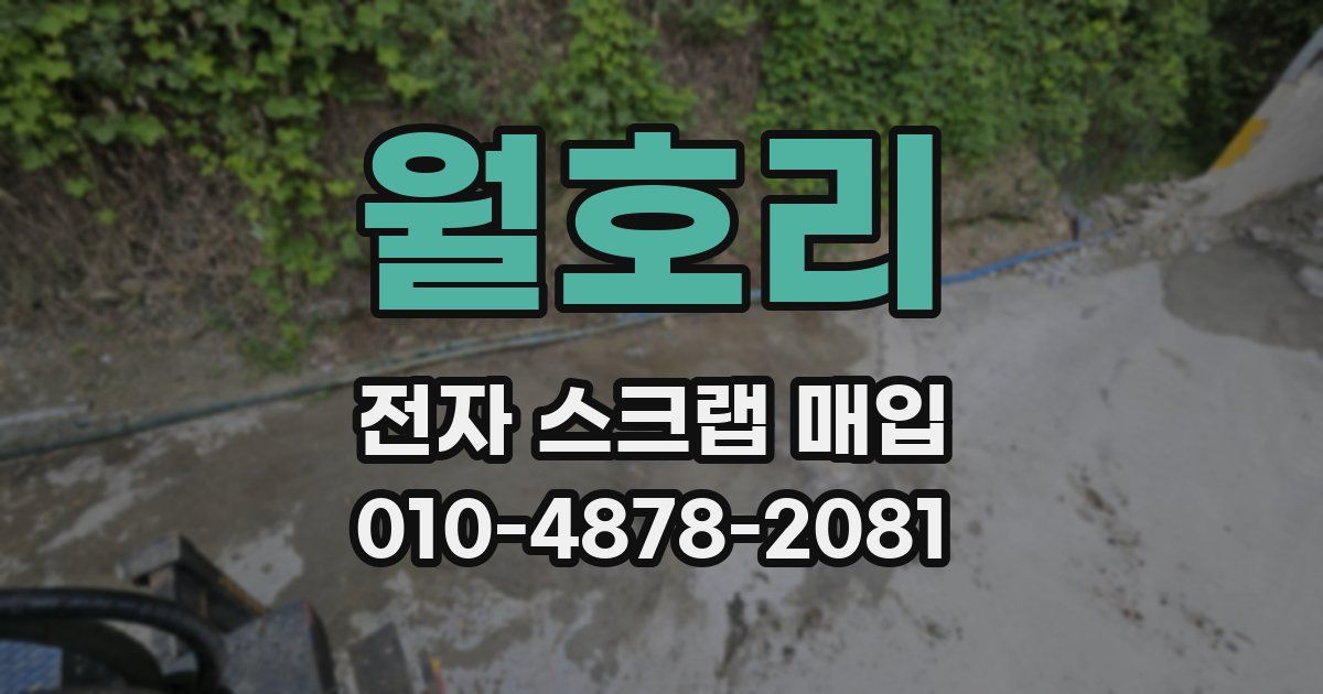 월호리 전자 스크랩 매입