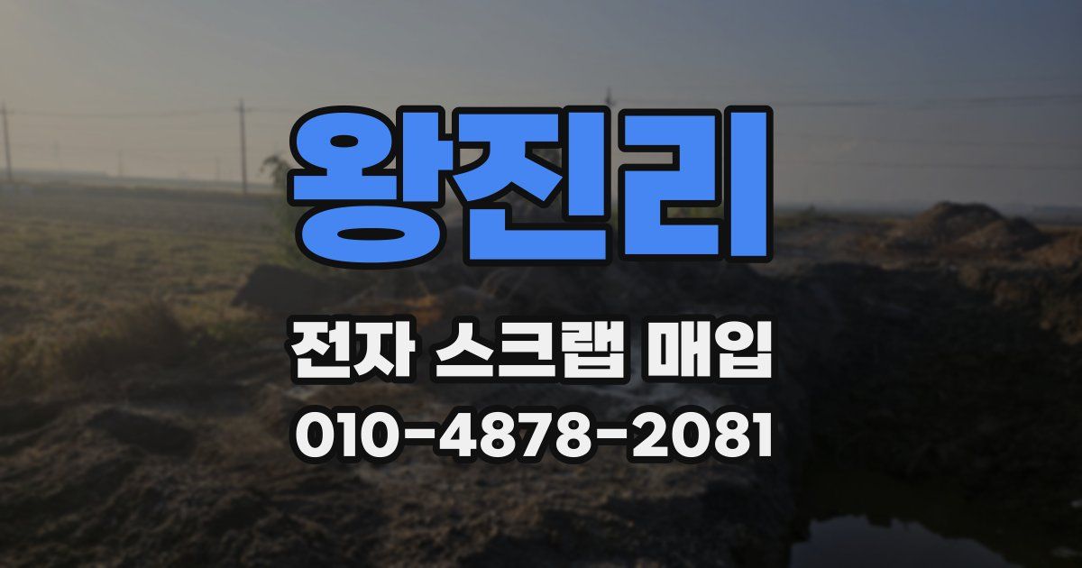 왕진리 전자 스크랩 매입