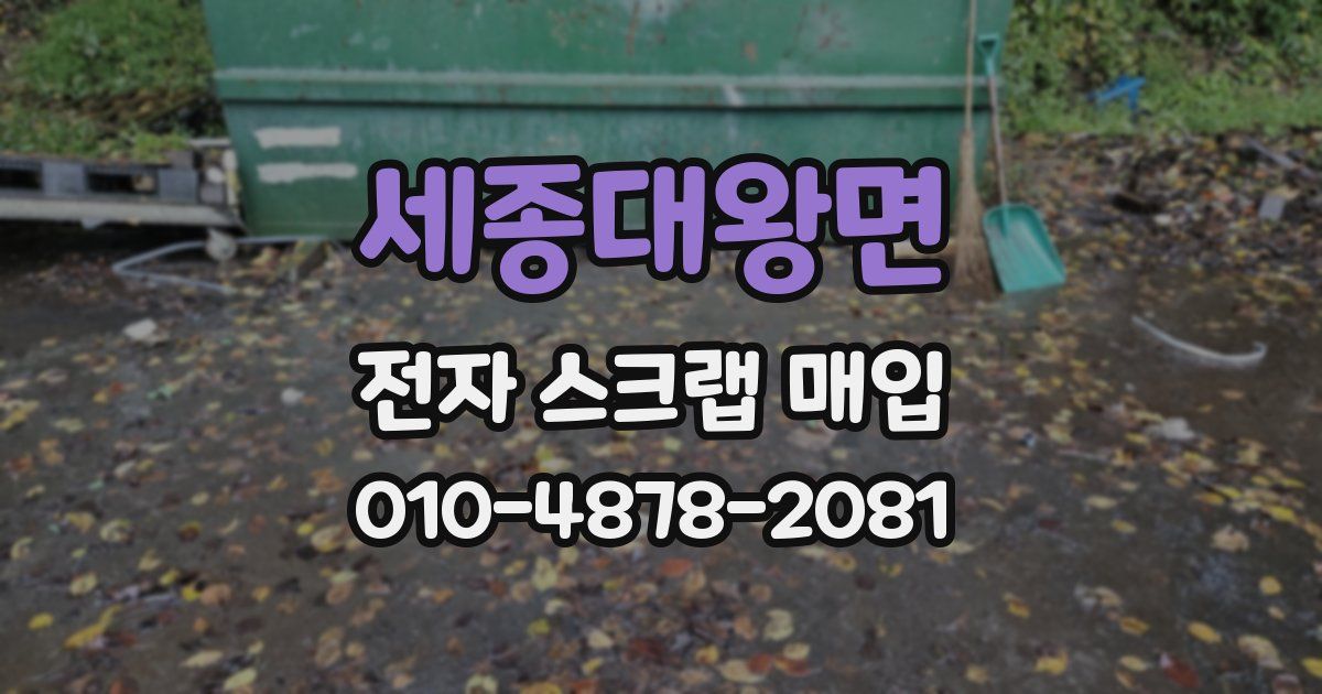 세종대왕면 전자 스크랩 매입