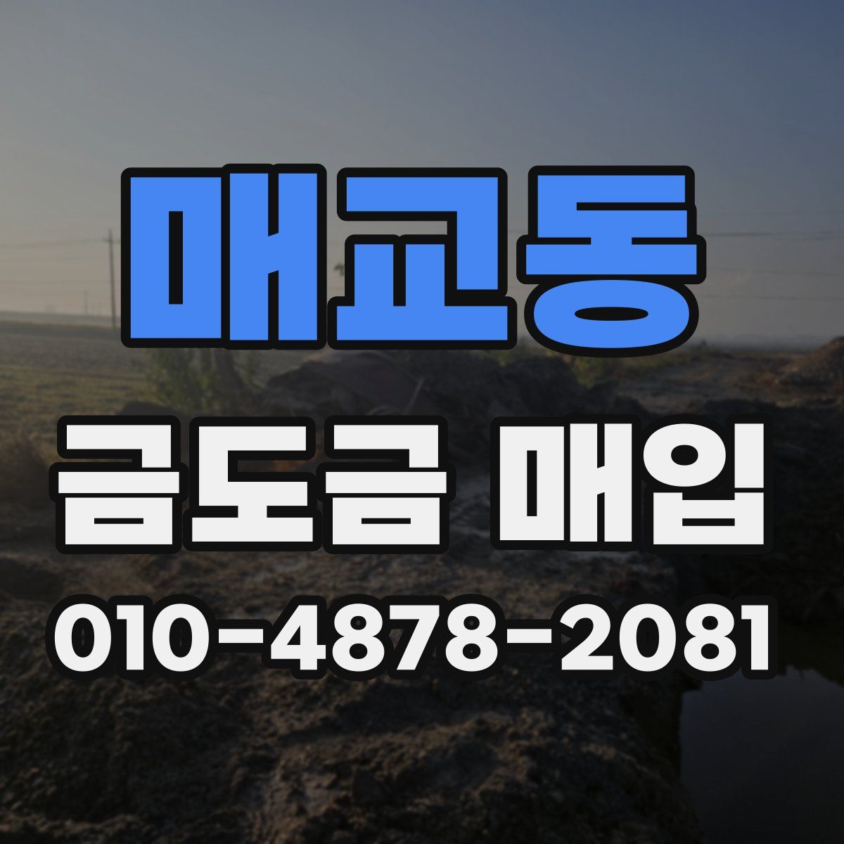 매교동 금도금 매입