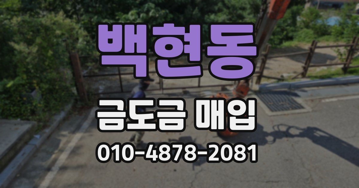 백현동 금도금 매입