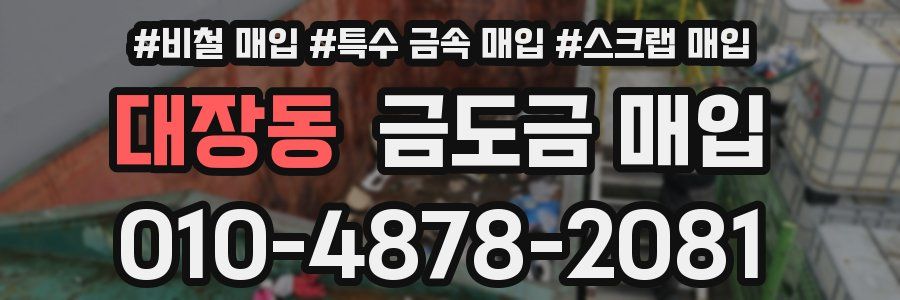 대장동 금도금 매입