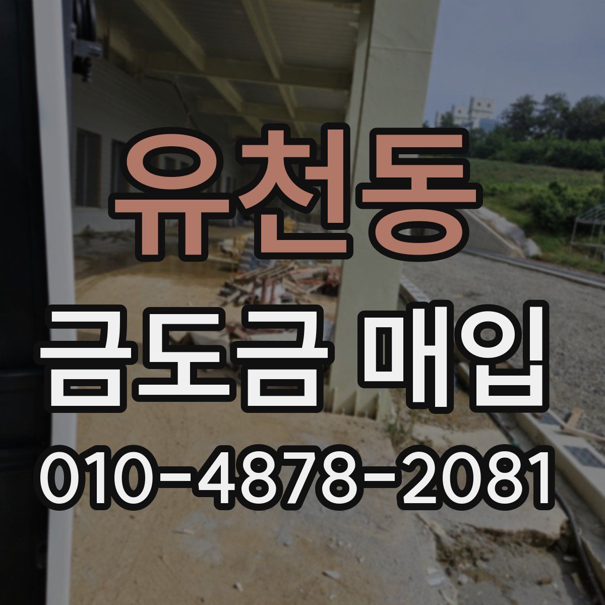 유천동 금도금 매입