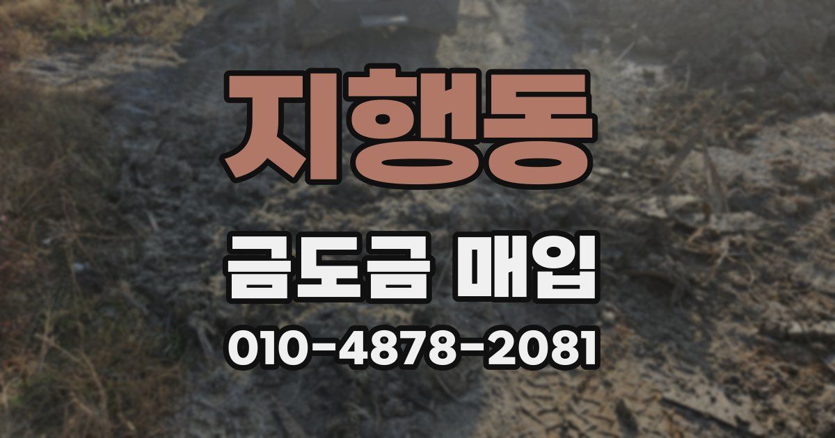지행동 금도금 매입