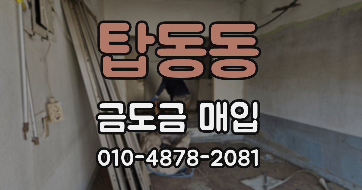 탑동동 금도금 매입