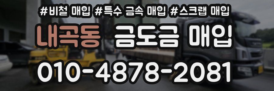 내곡동 금도금 매입