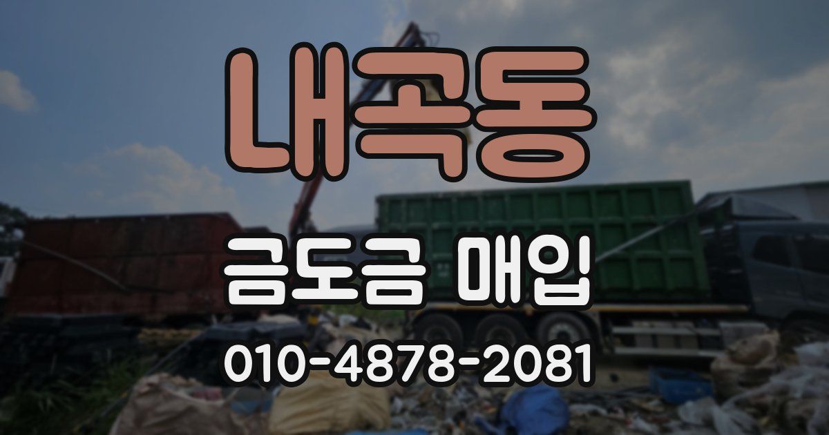 내곡동 금도금 매입